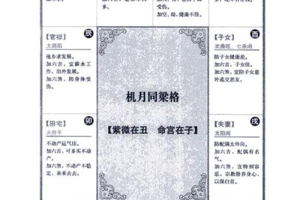 紫微斗数免费 紫微斗数真的免费吗