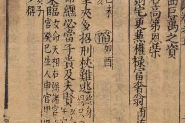 紫薇斗数实战视频