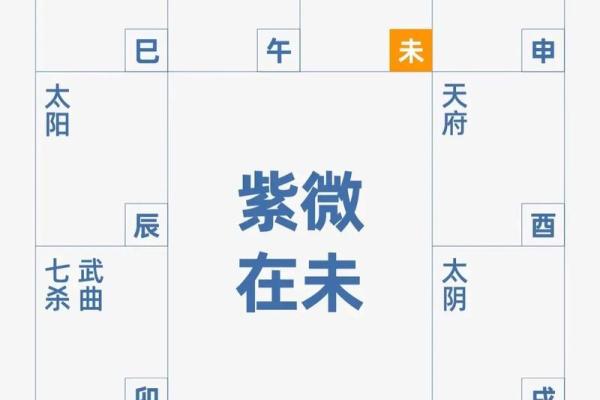 紫微斗数弱智 紫微斗数看智力？