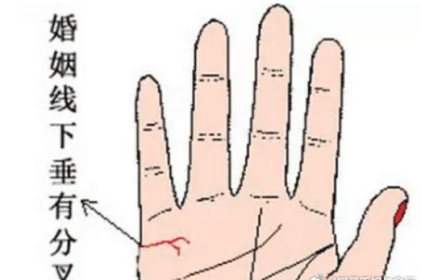 图解：手相婚姻线算命