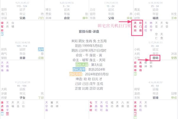 紫薇斗数明日运势