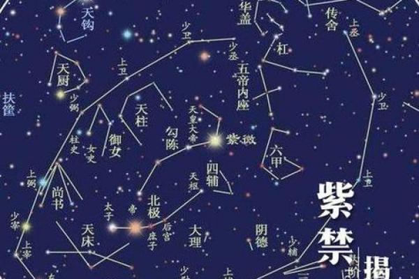 紫薇斗数紫薇星+财锦