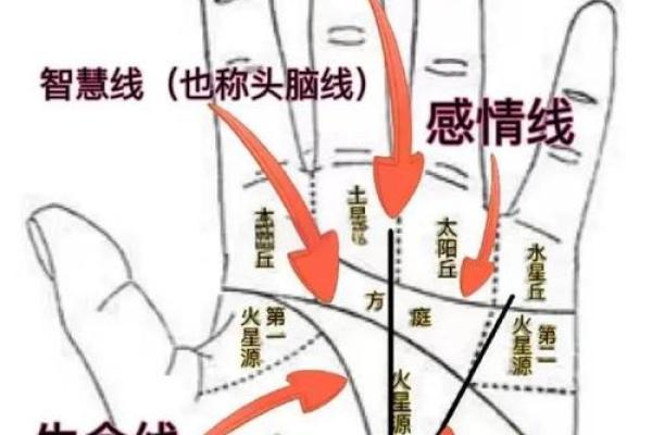 看手相算命生命线 手相图解生命线怎么看