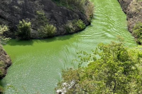 背湖 风水