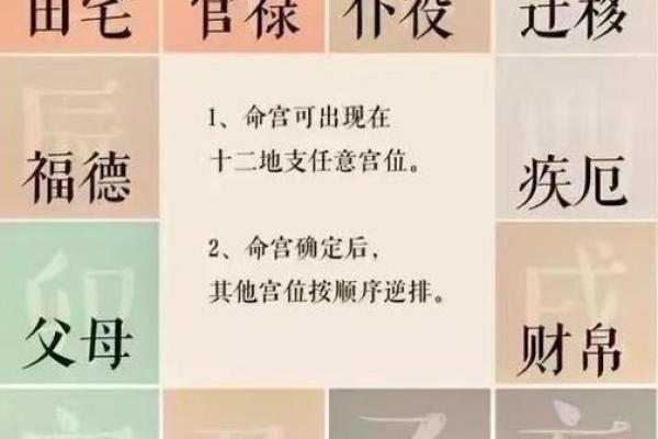 紫微斗数之人事十二宫的其他表意