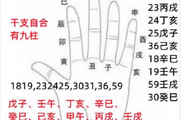 八字天干相合