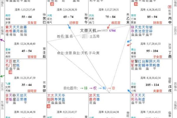 紫薇斗数命运宝典
