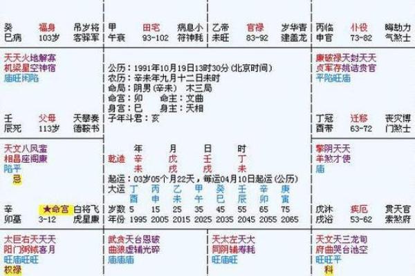 紫薇斗数事业算命