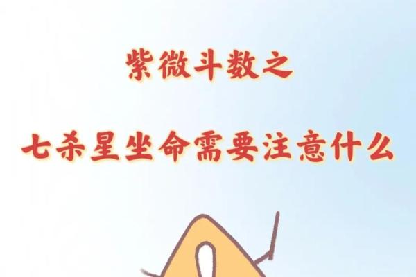 灵机紫薇斗数苹果版
