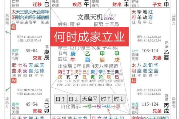 倪海厦紫薇斗数的真实水平