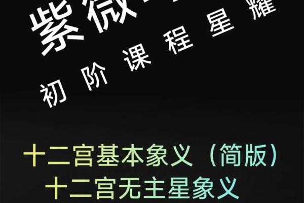 紫薇斗数午宫