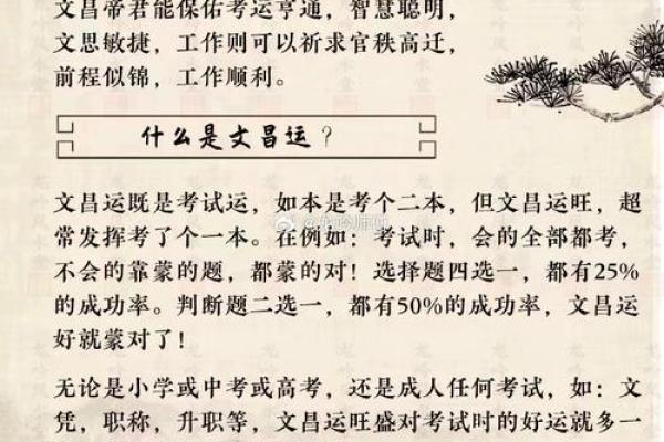 男子仕途甚好委以政职，算命师傅说：你命无官运，且有牢狱缠身之灾