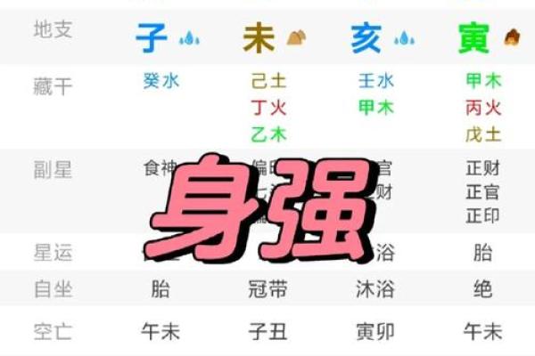 新派八字排盘软件下载