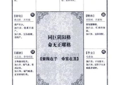 占星紫薇斗数
