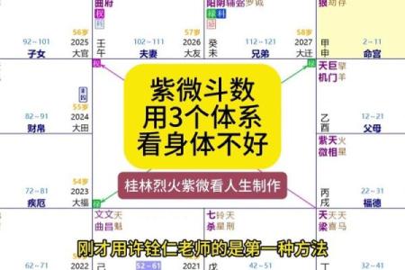 紫薇斗数好不好学
