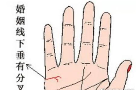 图解：手相婚姻线算命