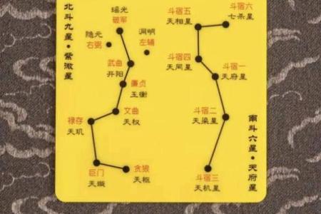紫薇斗数紫薇星+财锦