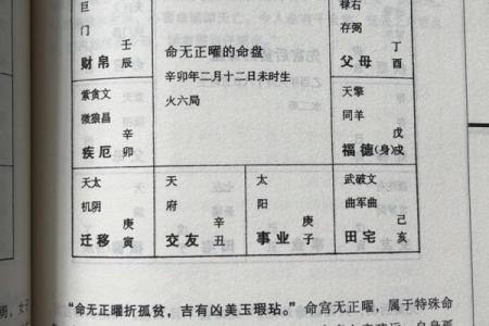 讲解简版 命无主星13 弘扬优秀传统文化 发扬紫微斗数 #紫微斗数