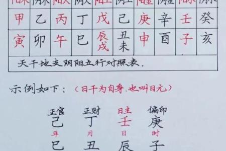 八字属阳属阴测试