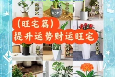家中风水这样布置，财运一天比一天好！