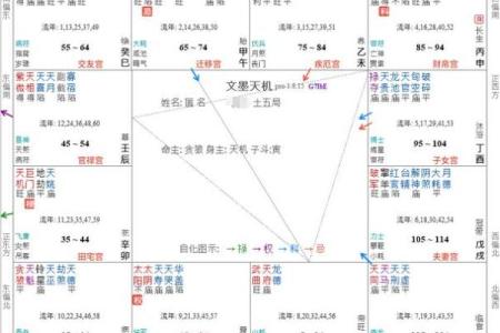 紫薇斗数命运宝典