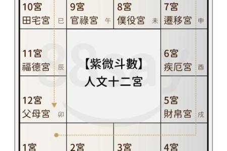 紫薇斗数星盘名称