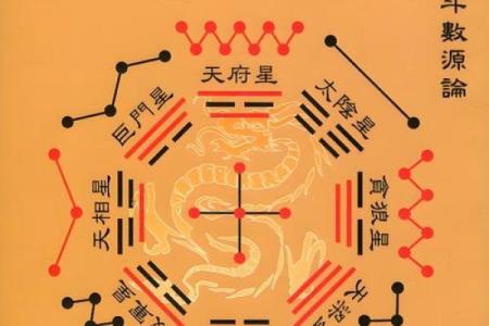 中洲派紫薇斗数