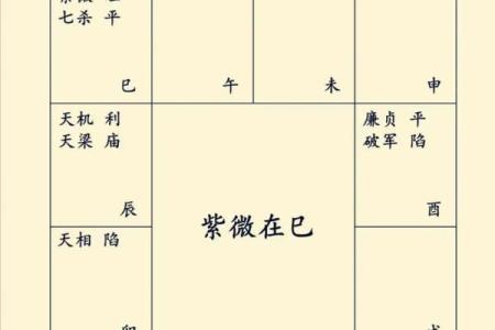 紫薇斗数太阴太阳代表