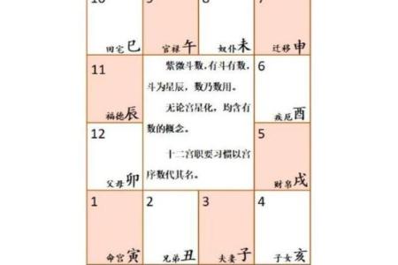 紫薇斗数盘每排文字代表什么