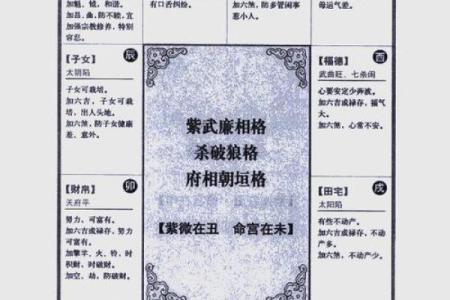 紫薇斗数命盘排盘软件
