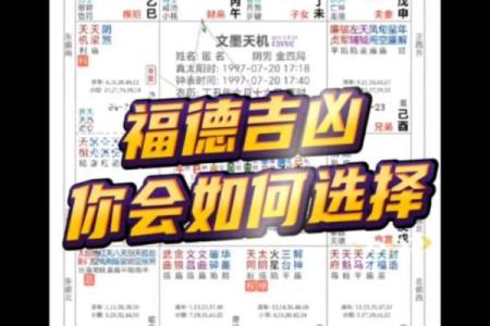 老紫薇斗数