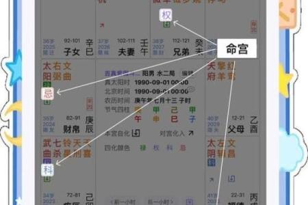 人生紫薇斗数