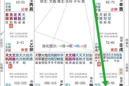 紫薇斗数的财星和官星