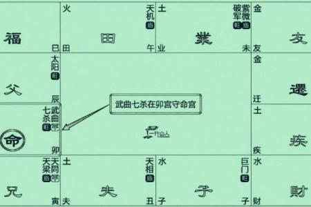 紫微斗数诸星落诸宫之：七杀星兄弟宫详解