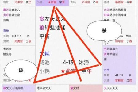 紫微斗数诸星落诸宫之：其它星（为独守时用，当与正星同宫时