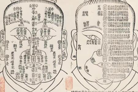 人中看相算命图解大全