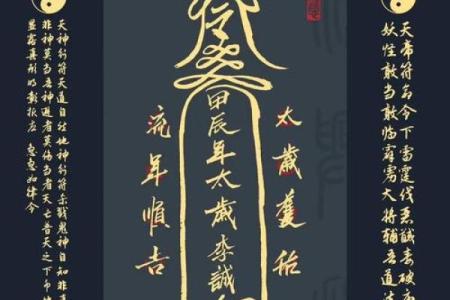 飞星紫微斗数用太岁入卦 紫微斗数太岁指什么？