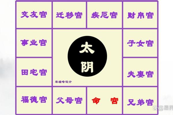 紫薇斗数的太阴