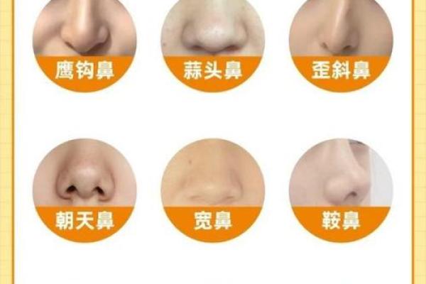为什么说大鼻子女人不能要风水观点