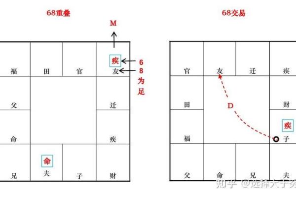紫薇斗数应用