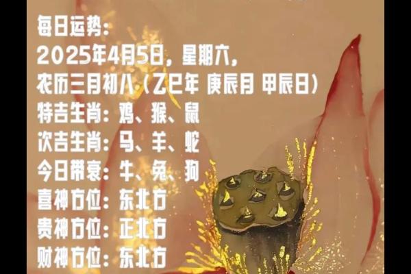 5月5日算命