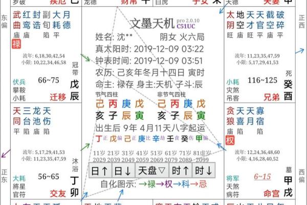 紫微斗数案例25健康：抑郁的命盘啥样？你在什么时间渡劫？