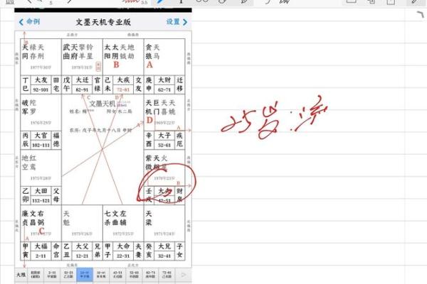许铨仁紫薇斗数高级班笔记