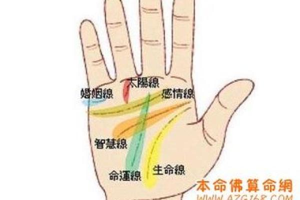算命出生地是指医院吗