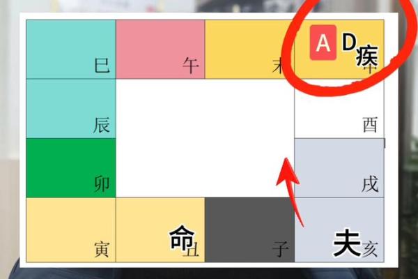 紫薇斗数中的禄存