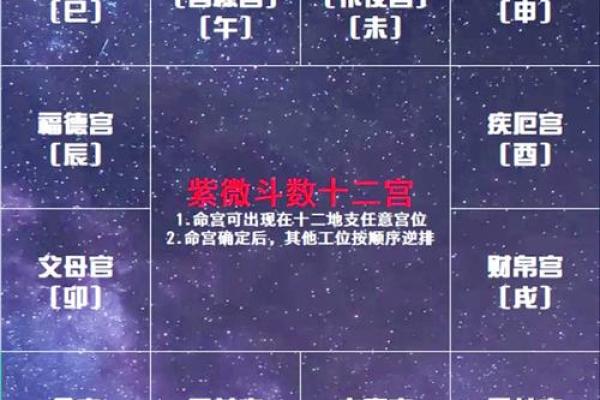 命好的紫薇斗数