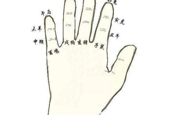 手指形状算命