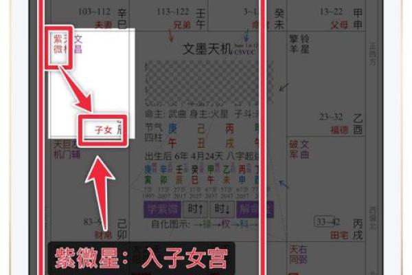 紫薇斗数星解