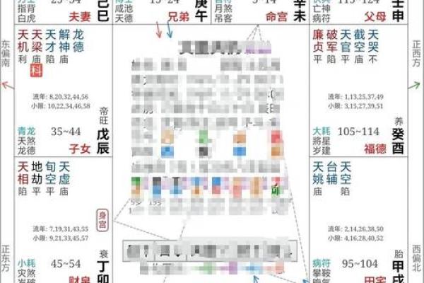 紫薇斗数旺权