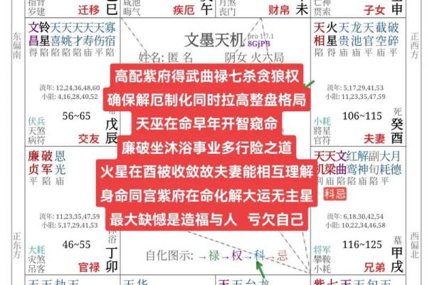 生辰紫微斗数 紫微斗数生辰八字？